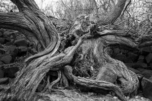 木結他品牌排行：理性解析與商業信任建立