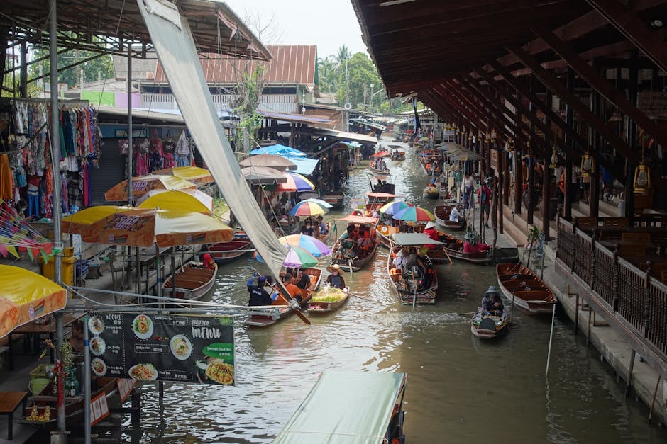 外匯平台：理性指導下的選擇與運用